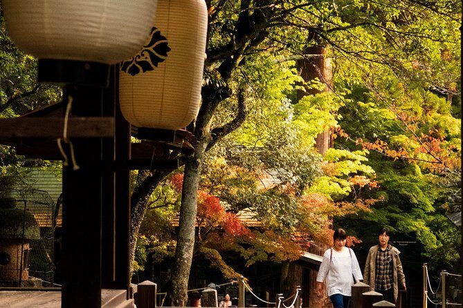 Nara Private Customizable Half Day Tour - The Horyuji Sannai (Ikaruga) option for a broader Nara-area feel