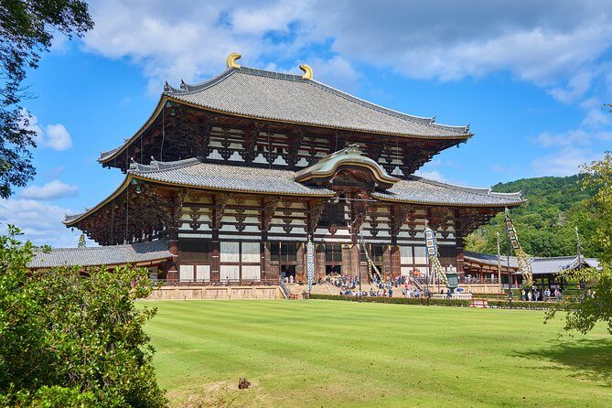 Nara Private Customizable Half Day Tour - Pricing ($160.33) and value: what you’re truly paying for