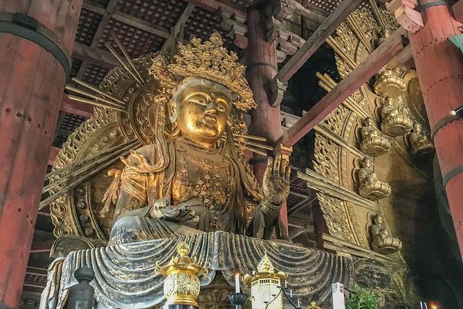 Nara Private Day Trip - Enjoy Your First-Time Visit to Nara! - A smooth 6 hours in Nara City (and why that matters)