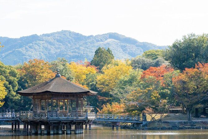 Nara : Private Day Walking Tour (From Osaka/Kyoto Possible) - Kasuga Taisha and the National Treasure Hall