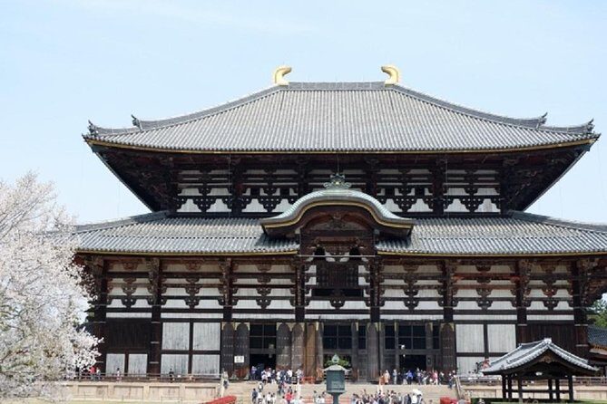 Nara Private Tour by Public Transportation from Osaka - Nara by train with a guide who handles the hard parts