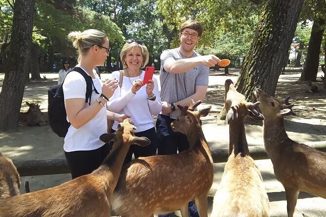 Nara Private Tour: Flexible Pickup from Kyoto, Osaka, or Nara - Quick hits: what makes this Nara private tour work