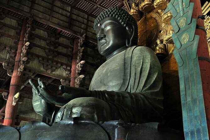 Nara Private Tour: Flexible Pickup from Kyoto, Osaka, or Nara - Why Nara feels worth a private day, not a quick stop