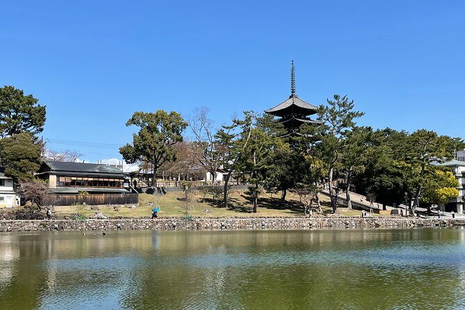 Nara Private Tour: Flexible Pickup from Kyoto, Osaka, or Nara - Nara Park and deer time: the famous experience, with a real payoff