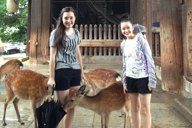Nara private tour (Shore excursion available from Osaka or Kobe port) - The real value: a private Nara day that fits cruise and hotel schedules