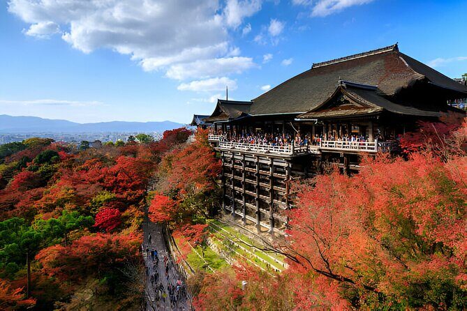 Nara Private Tour with Pick and Drop and English Speaking Driver - Nara National Museum: when it’s worth your hour