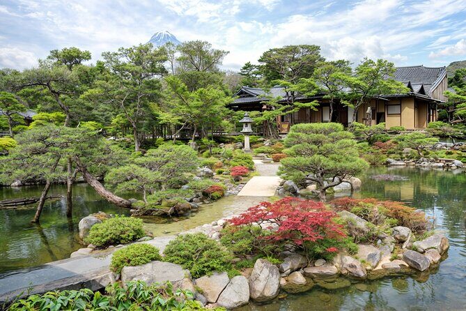 Nara Private Tour with Pick and Drop and English Speaking Driver - Price and value: what $526.26 really buys