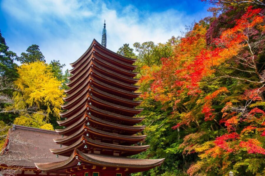 Nara: Private Tour with Private Guide - Meeting Point, Pickup, and How You Get Around