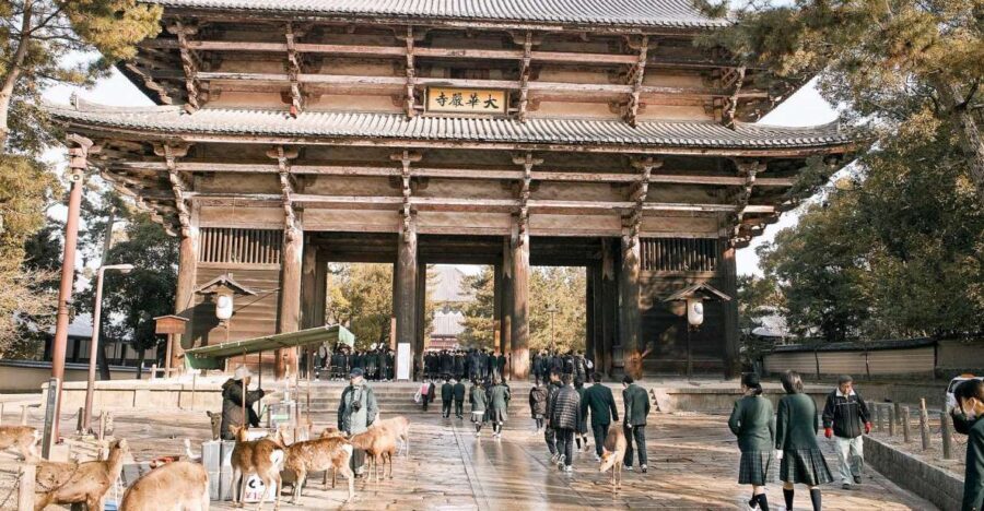 Nara: Private Walking Tour with a Local - How the private Lokafy walk actually feels in Nara