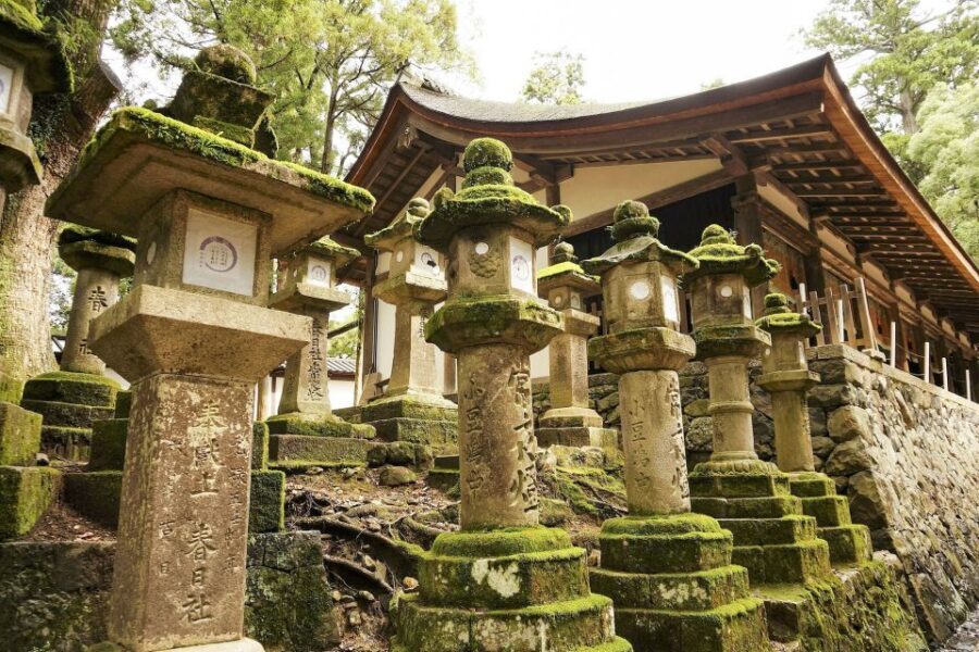 Nara: Private Walking Tour with a Local - How to get the most value from your guide (food, shopping, and questions)
