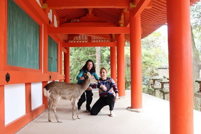 Nara Sake Tasting Tour at Local Brewerie(tasting fee included) - Who should book this Nara sake tour, and who might not