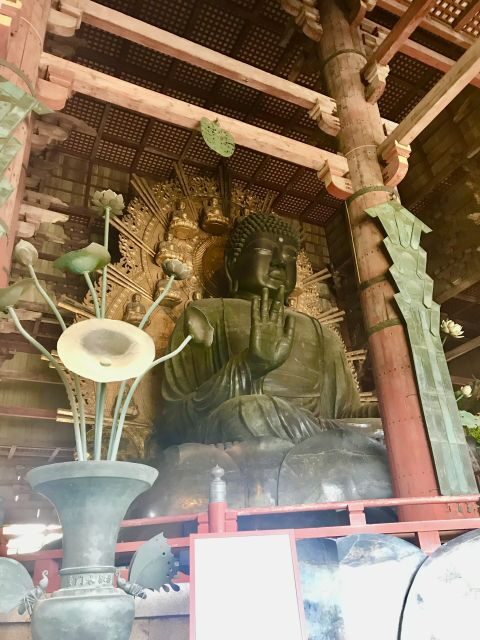 Nara: Todai-ji y parque de Nara (Spanish Guide) - Key moments that make this tour worth your time