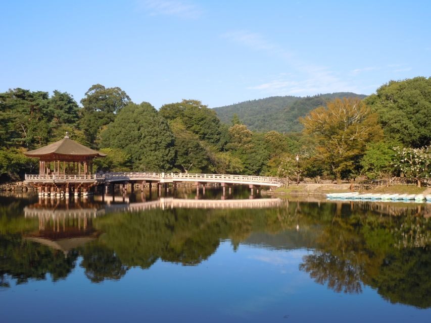Nara: Todai-ji y parque de Nara (Spanish Guide) - Todai-ji and the Great Buddha: why the first stop changes your whole mindset