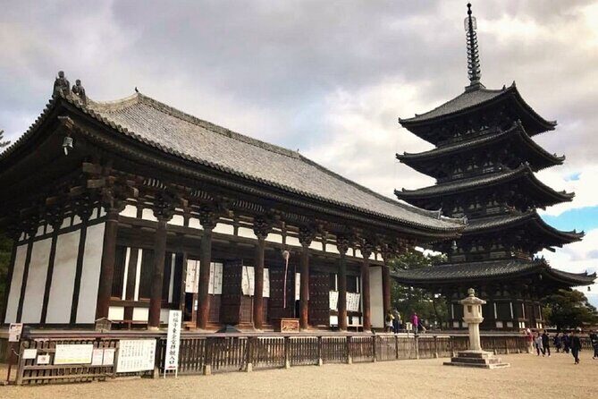 Nara Todaiji Kasuga Taisha Private Full Day Tour From Kyoto - A fast, famous day that still feels personal