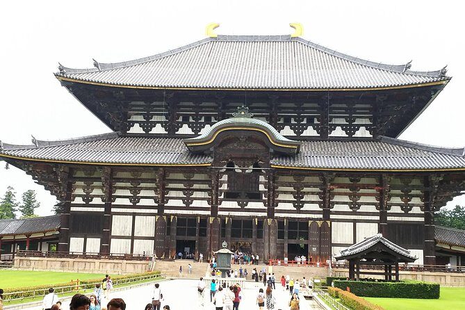Nara Todaiji Lazy Bird Walking Tour - Nara in Four Hours: Why the 2:00 pm Timing Works