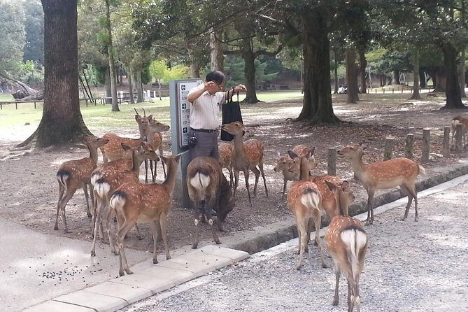 Nara Todaiji Lazy Bird Walking Tour - Nigatsu-do: The Wooden Terrace Photo Spot Overlooking Nara