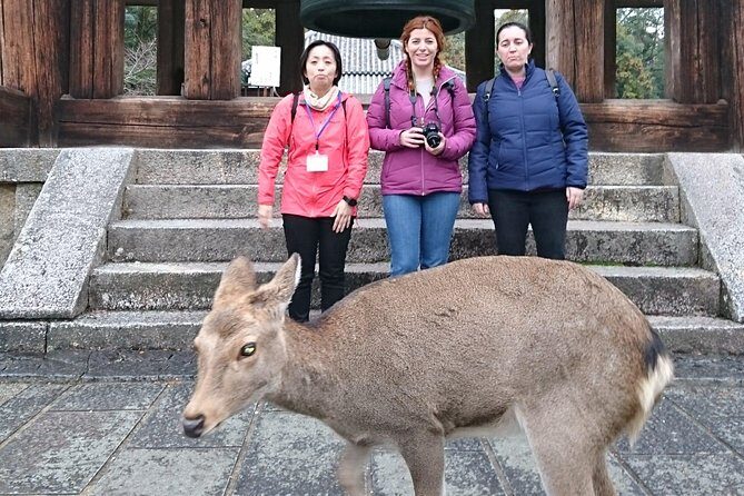 Nara Todaiji Lazy Bird Walking Tour - Hokke-do and Daibutsuden: Todai-ji’s Oldest Building to the Great Buddha Hall