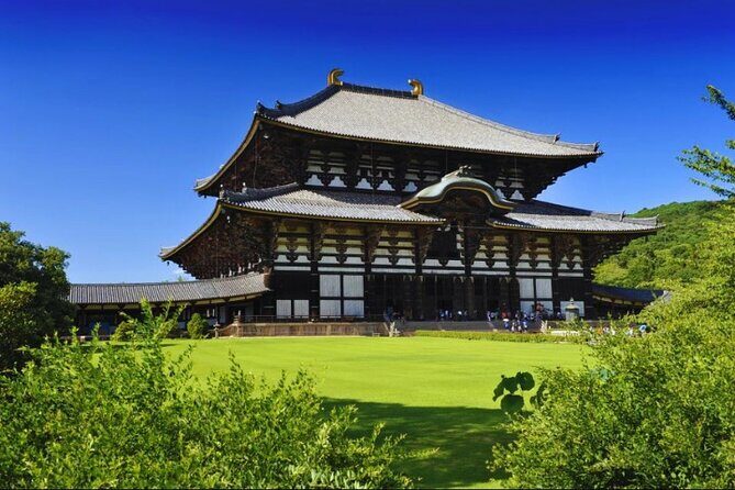 Nara, Todaiji Temple & Kuroshio Market Day BUS Tour from Osaka - Wakayama Castle: classic grounds, extra ticket, and a day-of check