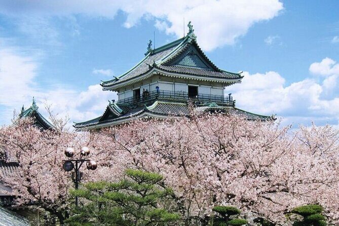 Nara, Todaiji Temple & Kuroshio Market Day BUS Tour from Osaka - Price vs. value: what you pay, what you still need, and what you get