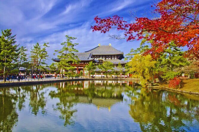 Nara, Todaiji Temple & Kuroshio Market Day BUS Tour from Osaka - Kuroshio Market: tuna show energy and why cash helps