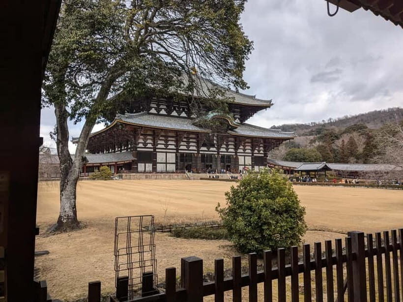 Nara: UNESCO Heritage Sites & Deer Park Tour with Pro guide - Why this Nara plan works in just 3 hours