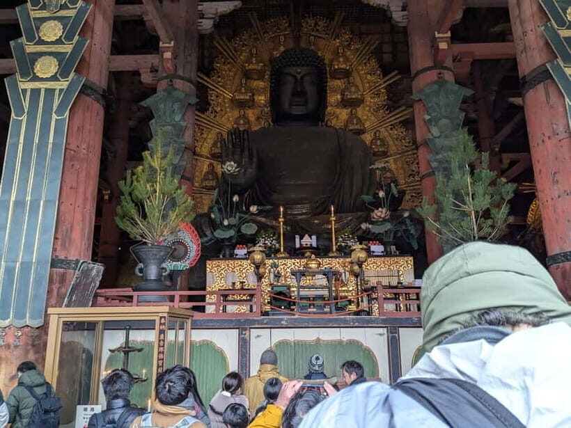 Nara: UNESCO Heritage Sites & Deer Park Tour with Pro guide - Who this tour suits best (and who should skip it)