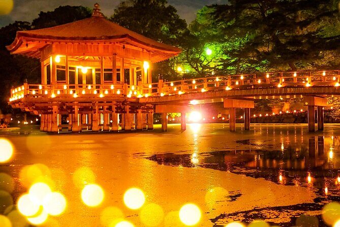 Nara World Heritage PRIVATE TOUR - Nara Park Deer Time: The Sacred Feeding Moment