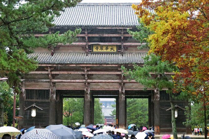 Nara World Heritage PRIVATE TOUR - Ending With Kōfuku-ji and Its Five-Story Pagoda