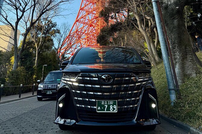 Narita Airport Private Transfer To Tokyo City - Waiting time and flight delays: how the service protects your plans