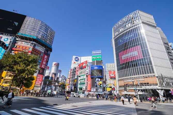 Narita Layover tour with National Licensed guide - Who this tour fits best (and who might want a different plan)