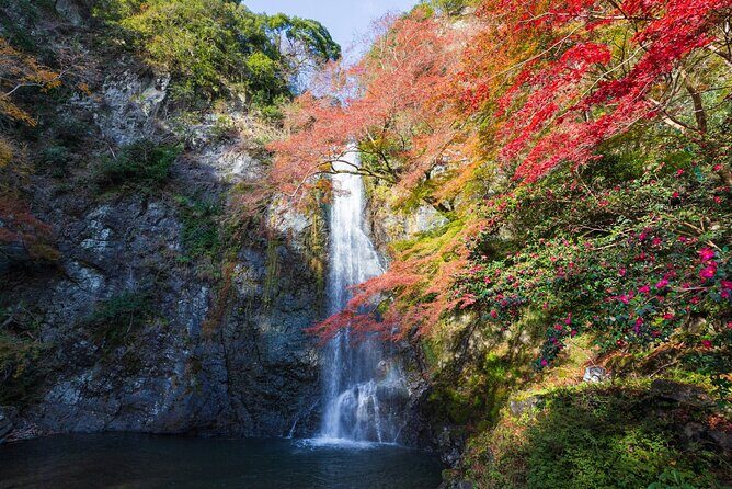 Nature Walk at Minoo Park, the Best Nature and Waterfall in Osaka - The trail basics: pace, fitness, and what to wear