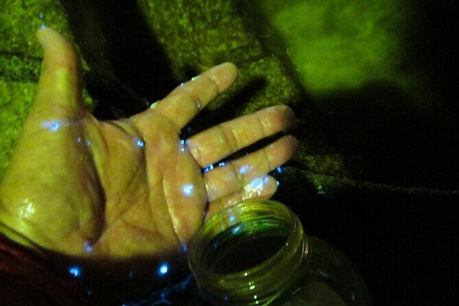 Night Kayak Tour Relax Under the Natural Glow of Sea Fireflies - Night Kayak in Tomonoura: What This Sea-Firefly Evening Is Really Like
