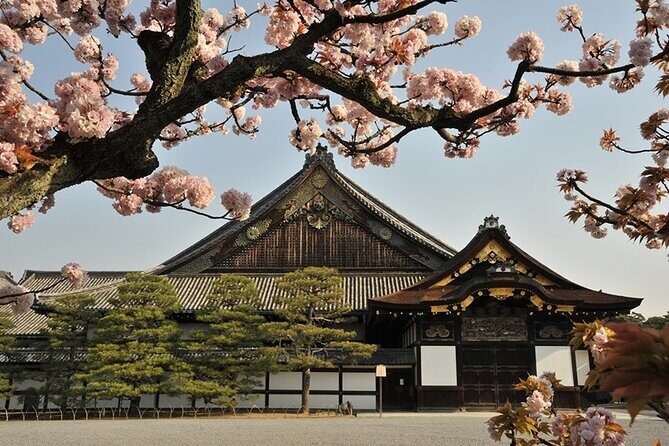 Nijo Castle Samurai Inside Story — Top-Rated Guide (Max 8) - The guide experience: what makes this tour feel personal