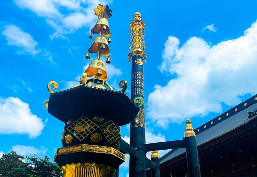 Nikko: Day Tour from Tokyo in Spanish - Spanish - The Spanish Guide Factor: What You Actually Gain