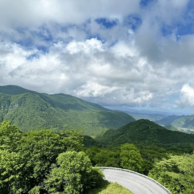 Nikko Heritage & Nature Day Trip from Tokyo - Private Tokyo-to-Nikko value: what $391 buys (and what it doesn’t)