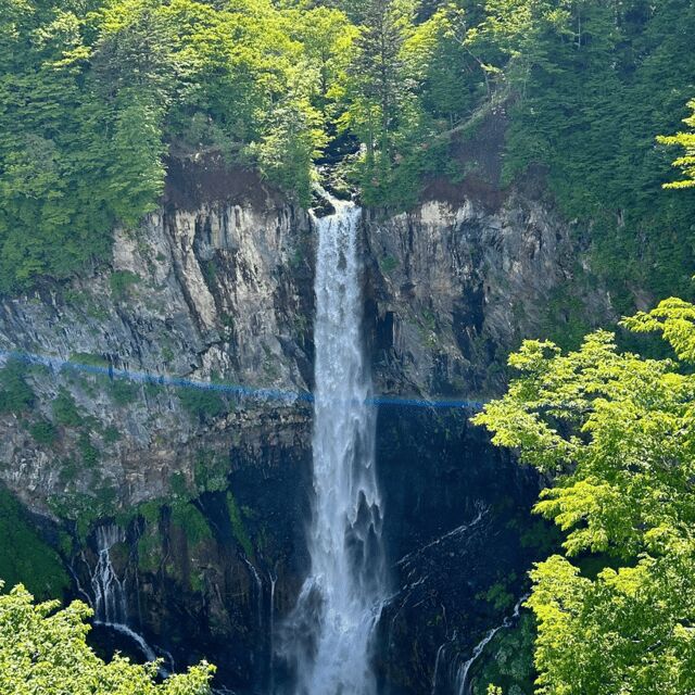 Nikko Heritage & Nature Day Trip from Tokyo - Kegon Falls: nearly 100 meters of power, and where time matters