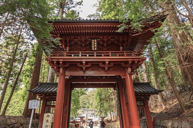 Nikko Private Custom Tour with Local Guide - Nikko Toshogu Shrine: carvings, gates, and the Tokugawa link