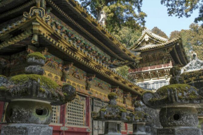Nikko Private Custom Tour with Local Guide - Should you book this Nikko private custom tour?