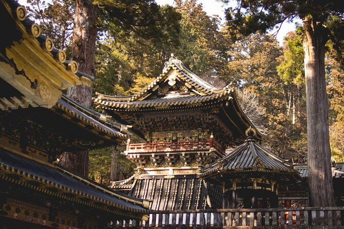 Nikko Private Day Tour from Tokyo with English-Speaking Driver - Why this Nikko private day trip feels easier than group tours