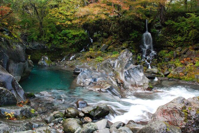 Nikko Private SightSeeing Day Tour With Guide (From Tokyo) - Rinno-ji Temple: cedar forest calm and three gilded Buddhas