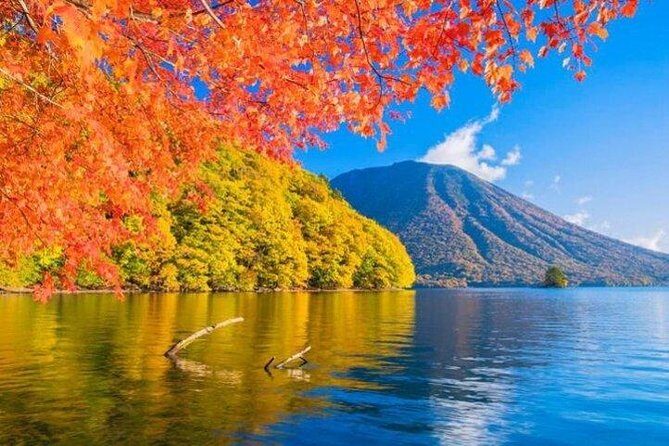 Nikko Private Tour from Tokyo with Licensed Guide and Vehicle - Irohazaka slope, Senjogahara, and Kanmangafuchi Abyss walks