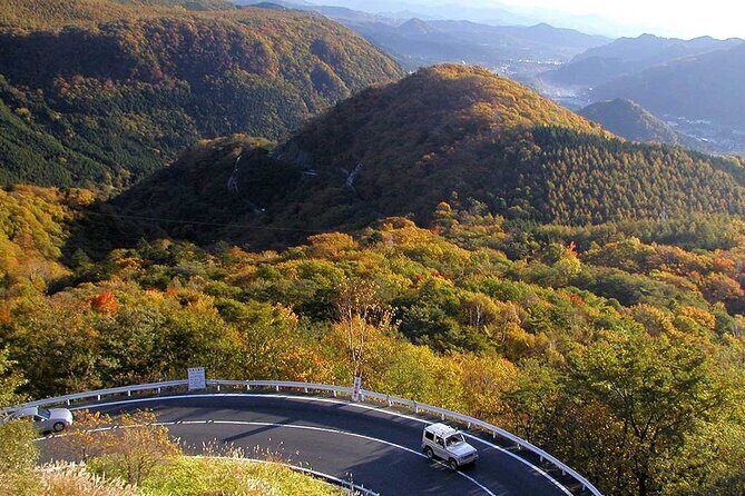 Nikko private tour with English speaking guide - English-speaking support: what you can do to avoid the language gap