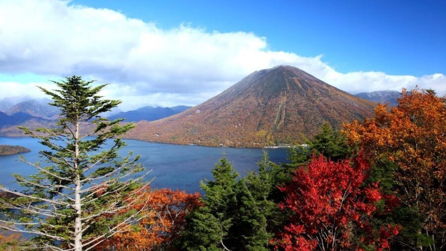 Nikko: Private Walking Tour with Local Guide - Who This Tour Suits Best (and Who Might Want a Different Plan)
