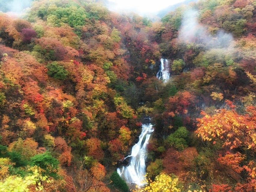 Nikko's Majestic Landscapes: Private Guided Tour - Price and value: $451 per group up to 6