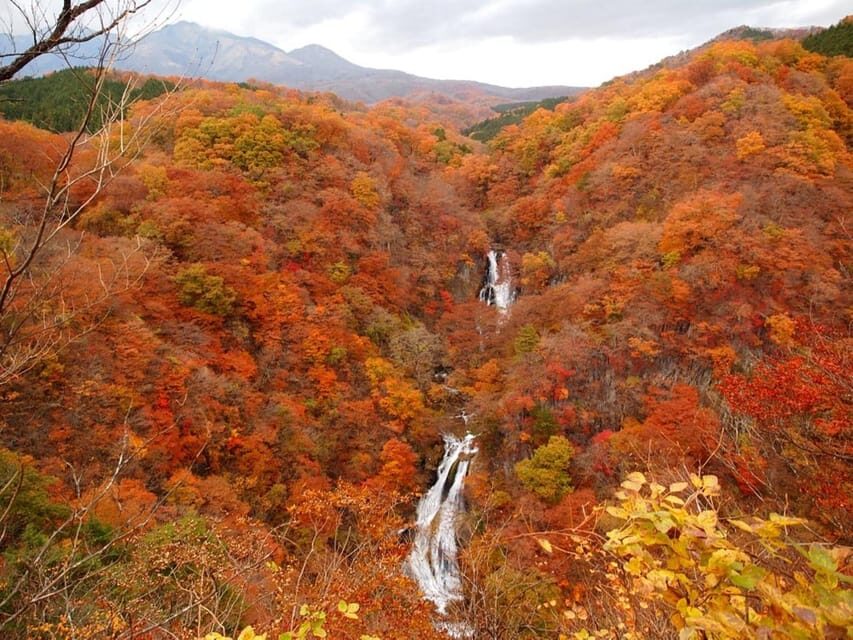 Nikko's Majestic Landscapes: Private Guided Tour - Lake Chūzenji: the kind of stop you’ll remember later