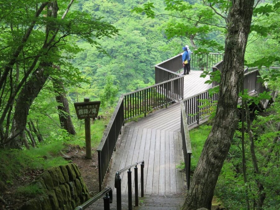 Nikko's Majestic Landscapes: Private Guided Tour - Rinno-ji Temple and Shinkyo Bridge: the classic Nikko route