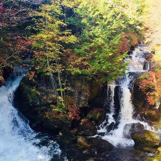Nikko's Majestic Landscapes: Private Guided Tour - Nikko town time: food, local specialties, and shopping