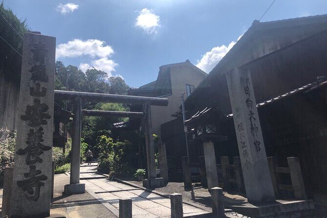 Ninja Trekking half-day tour at Mt.Daimonji Kyoto - Who this tour suits best (and who should be cautious)