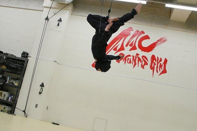 Ninja Wire Action Experience - Price and value: is $111.50 worth it?