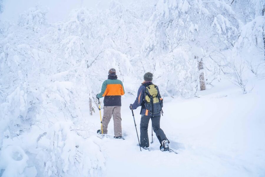 Noboribetsu: Orofure Pass Snowshoeing Tour - Key Moments Worth Circling